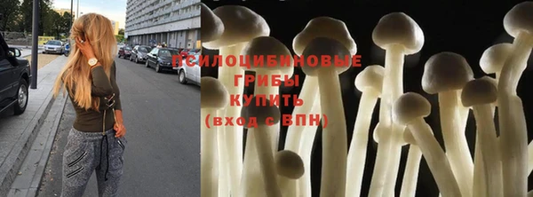 хмурый Алексеевка