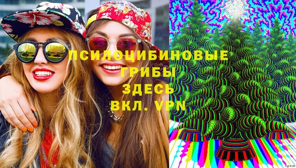 хмурый Алексеевка