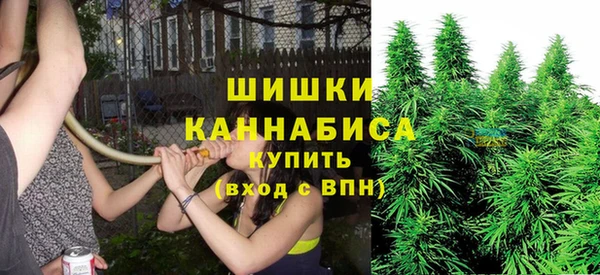 прущие крисы Каменногорск