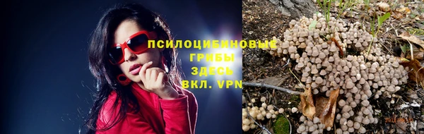 хмурый Алексеевка